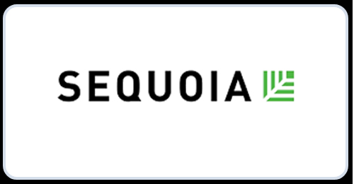 Strategic partner logo 2