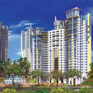 City of Joy project